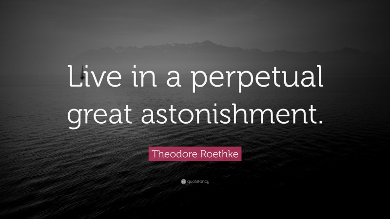 Theodore Roethke Quote: “Live in a perpetual great astonishment.”