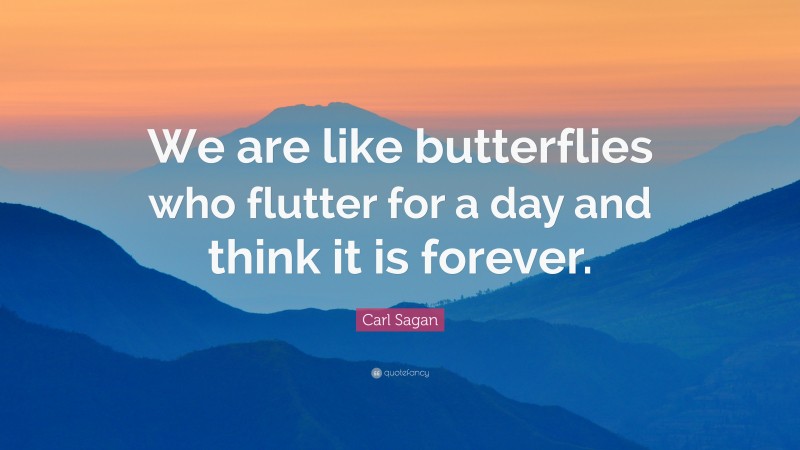 Carl Sagan Quote: “We are like butterflies who flutter for a day and think it is forever.”
