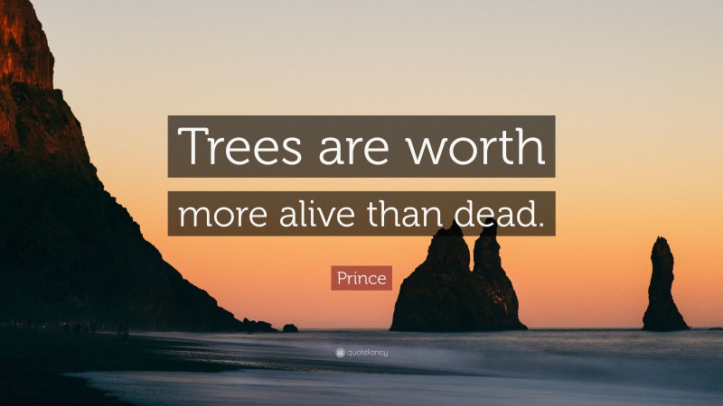 Prince Quote: “Trees are worth more alive than dead.”