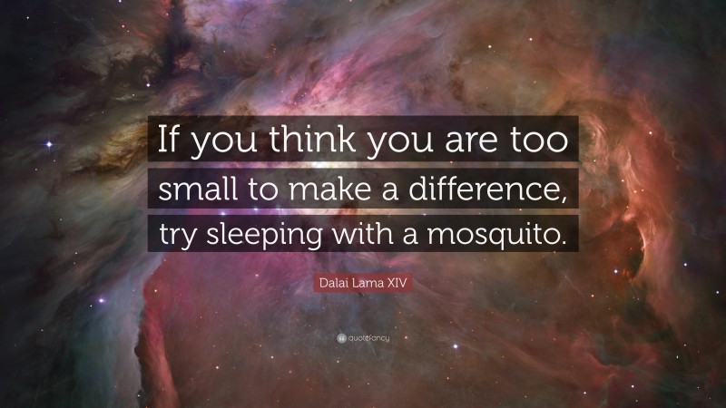 Dalai Lama XIV Quote: “If you think you are too small to make a difference, try sleeping with a mosquito.”