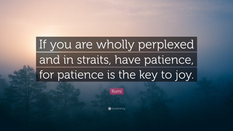 Rumi Quote: “If you are wholly perplexed and in straits, have patience, for patience is the key to joy.”