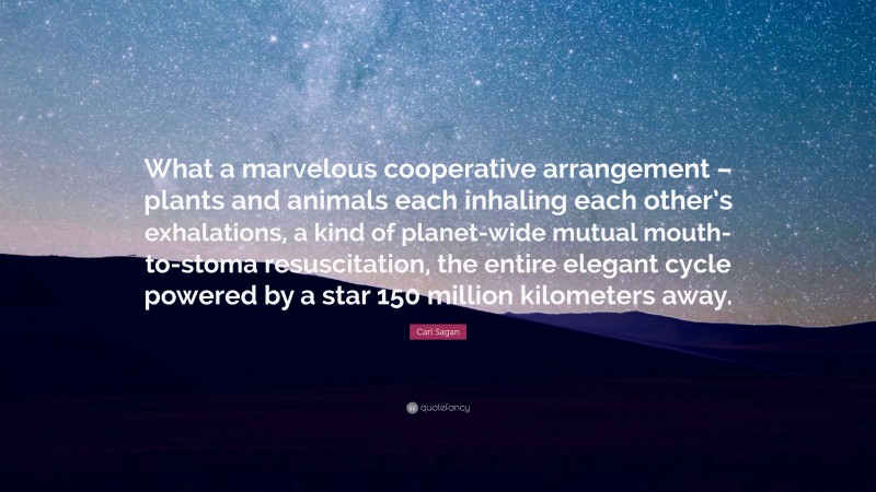 Carl Sagan Quote: “What a marvelous cooperative arrangement – plants and animals each inhaling each other’s exhalations, a kind of planet-wide mutual mouth-to-stoma resuscitation, the entire elegant cycle powered by a star 150 million kilometers away.”