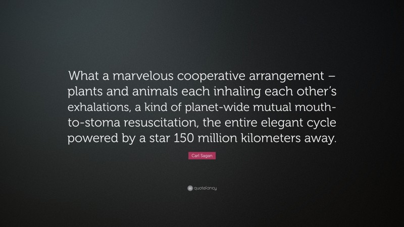 Carl Sagan Quote: “What a marvelous cooperative arrangement – plants and animals each inhaling each other’s exhalations, a kind of planet-wide mutual mouth-to-stoma resuscitation, the entire elegant cycle powered by a star 150 million kilometers away.”