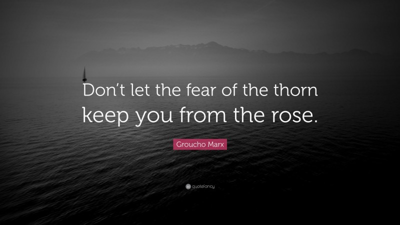 Groucho Marx Quote: “Don’t let the fear of the thorn keep you from the rose.”