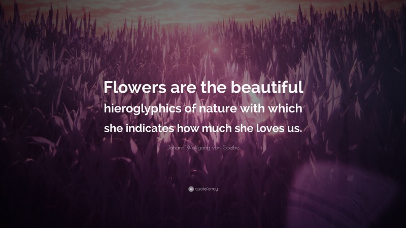 Johann Wolfgang von Goethe Quote: “Flowers are the beautiful hieroglyphics of nature with which she indicates how much she loves us.”