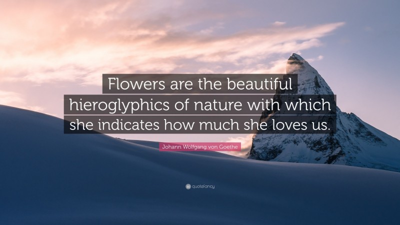 Johann Wolfgang von Goethe Quote: “Flowers are the beautiful hieroglyphics of nature with which she indicates how much she loves us.”