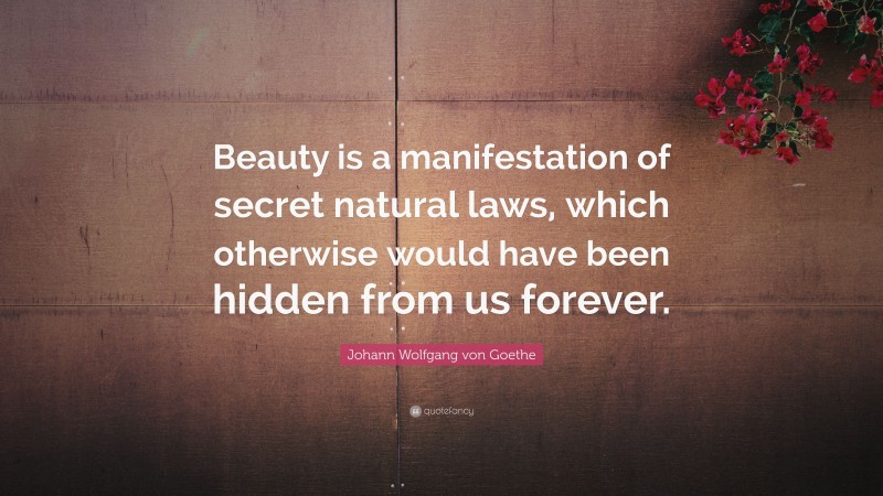 Johann Wolfgang von Goethe Quote: “Beauty is a manifestation of secret natural laws, which otherwise would have been hidden from us forever.”