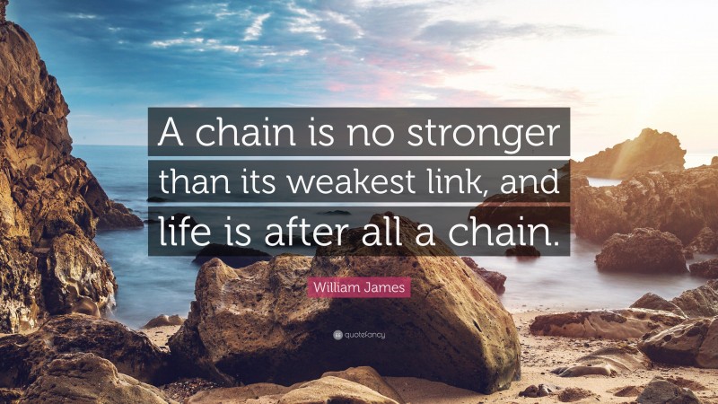 William James Quote: “A chain is no stronger than its weakest link, and life is after all a chain.”