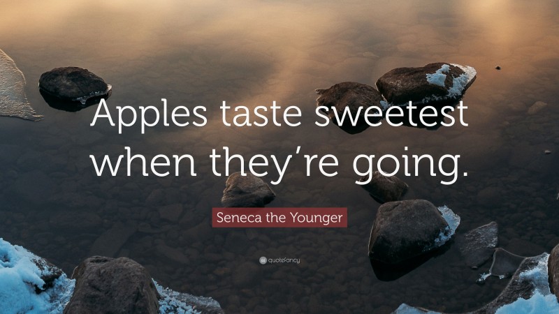 Seneca the Younger Quote: “Apples taste sweetest when they’re going.”