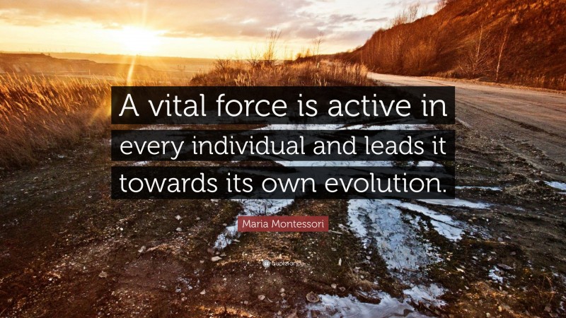 Maria Montessori Quote: “A vital force is active in every individual and leads it towards its own evolution.”
