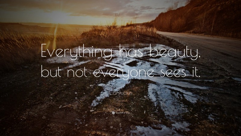 Confucius Quote: “Everything has beauty, but not everyone sees it.”