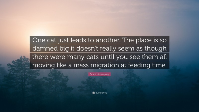 Ernest Hemingway Quote: “One cat just leads to another. The place is so damned big it doesn’t really seem as though there were many cats until you see them all moving like a mass migration at feeding time.”