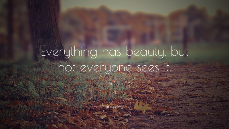 Confucius Quote: “Everything has beauty, but not everyone sees it.”