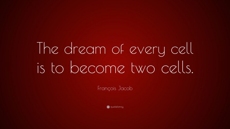 François Jacob Quote: “The dream of every cell is to become two cells.”