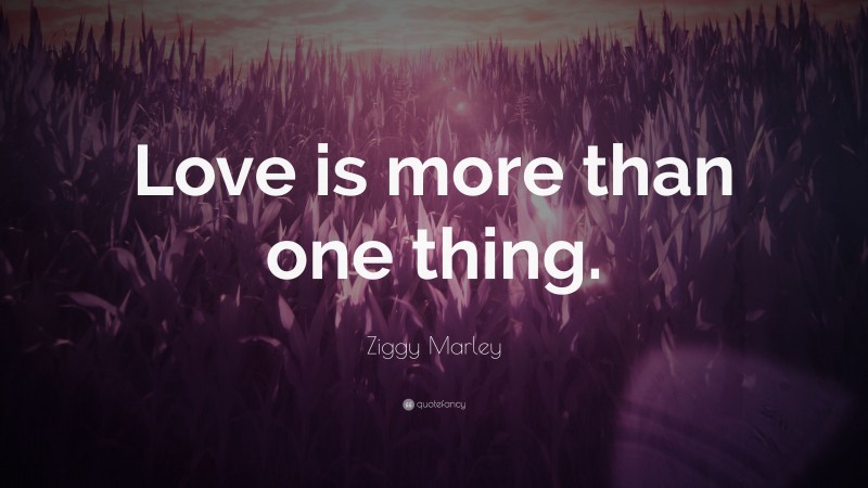 Ziggy Marley Quote: “Love is more than one thing.”