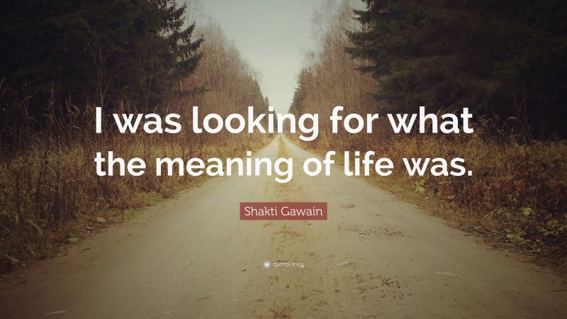 Shakti Gawain Quote: “I was looking for what the meaning of life was.”