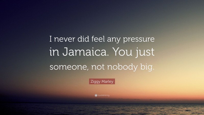 Ziggy Marley Quote: “I never did feel any pressure in Jamaica. You just someone, not nobody big.”
