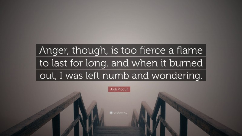 Jodi Picoult Quote: “Anger, though, is too fierce a flame to last for long, and when it burned out, I was left numb and wondering.”