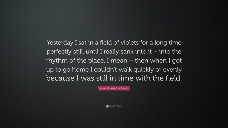 Anne Morrow Lindbergh Quote: “Yesterday I sat in a field of violets for a long time perfectly still, until I really sank into it – into the rhythm of the place, I mean – then when I got up to go home I couldn’t walk quickly or evenly because I was still in time with the field.”