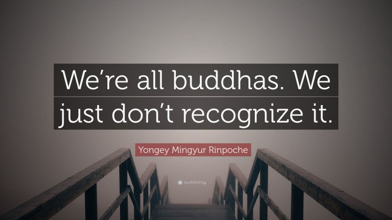 Yongey Mingyur Rinpoche Quote: “We’re all buddhas. We just don’t recognize it.”