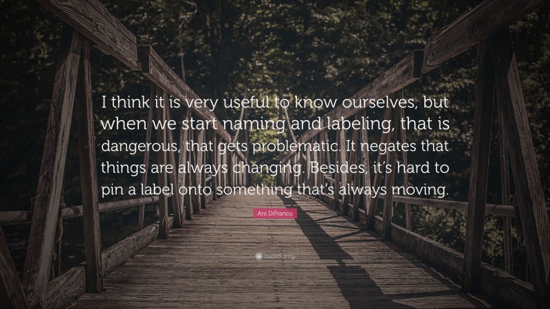 Ani DiFranco Quote: “I think it is very useful to know ourselves, but when we start naming and labeling, that is dangerous, that gets problematic. It negates that things are always changing. Besides, it’s hard to pin a label onto something that’s always moving.”