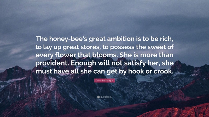 John Burroughs Quote: “The honey-bee’s great ambition is to be rich, to lay up great stores, to possess the sweet of every flower that blooms. She is more than provident. Enough will not satisfy her, she must have all she can get by hook or crook.”