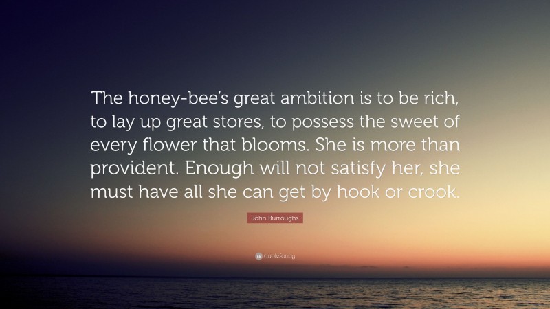 John Burroughs Quote: “The honey-bee’s great ambition is to be rich, to lay up great stores, to possess the sweet of every flower that blooms. She is more than provident. Enough will not satisfy her, she must have all she can get by hook or crook.”