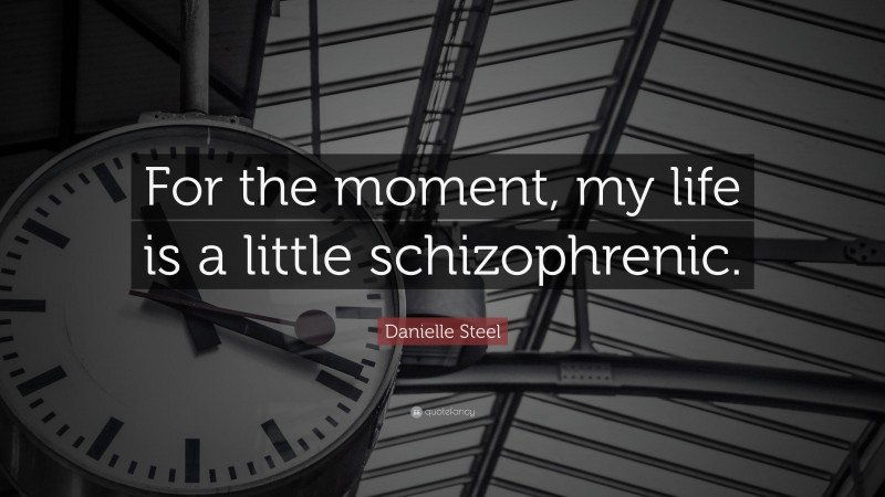 Danielle Steel Quote: “For the moment, my life is a little schizophrenic.”