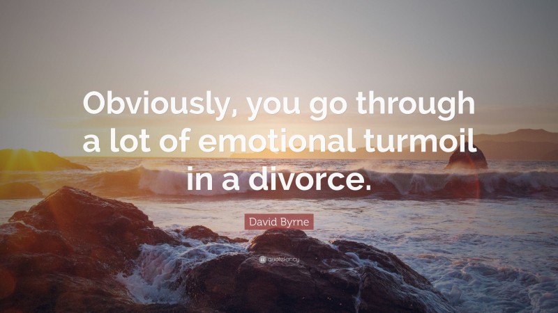 David Byrne Quote: “Obviously, you go through a lot of emotional turmoil in a divorce.”