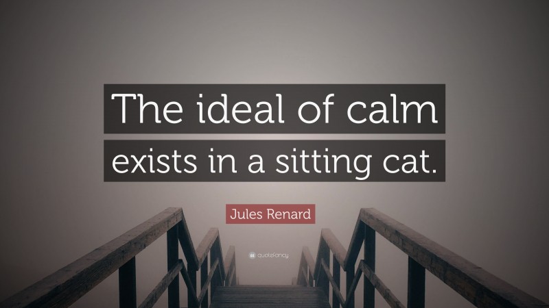 Jules Renard Quote: “The ideal of calm exists in a sitting cat.”