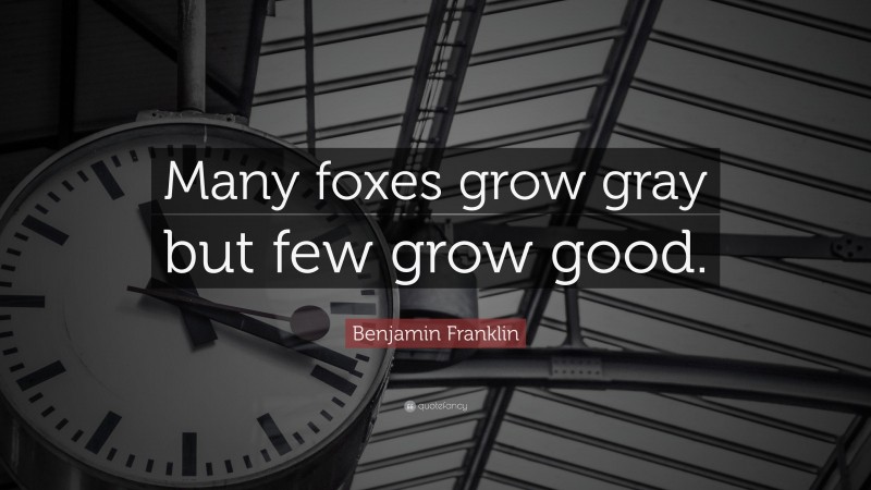 Benjamin Franklin Quote: “Many foxes grow gray but few grow good.”