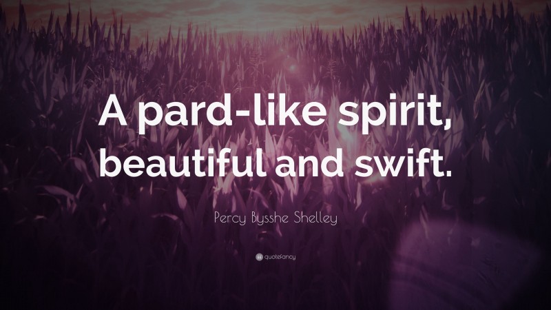 Percy Bysshe Shelley Quote: “A pard-like spirit, beautiful and swift.”