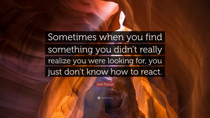 Jodi Picoult Quote: “Sometimes when you find something you didn’t really realize you were looking for, you just don’t know how to react.”