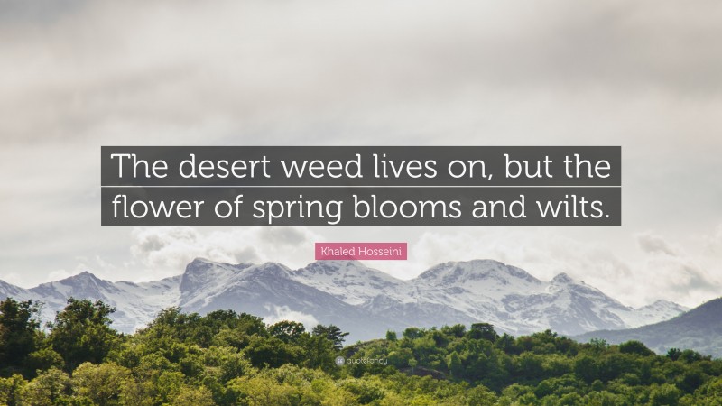 Khaled Hosseini Quote: “The desert weed lives on, but the flower of spring blooms and wilts.”