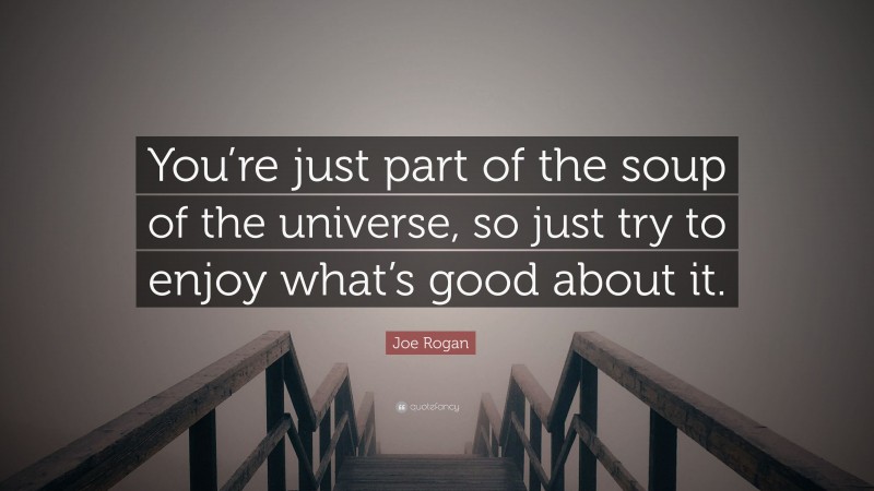 Joe Rogan Quote: “You’re just part of the soup of the universe, so just try to enjoy what’s good about it.”