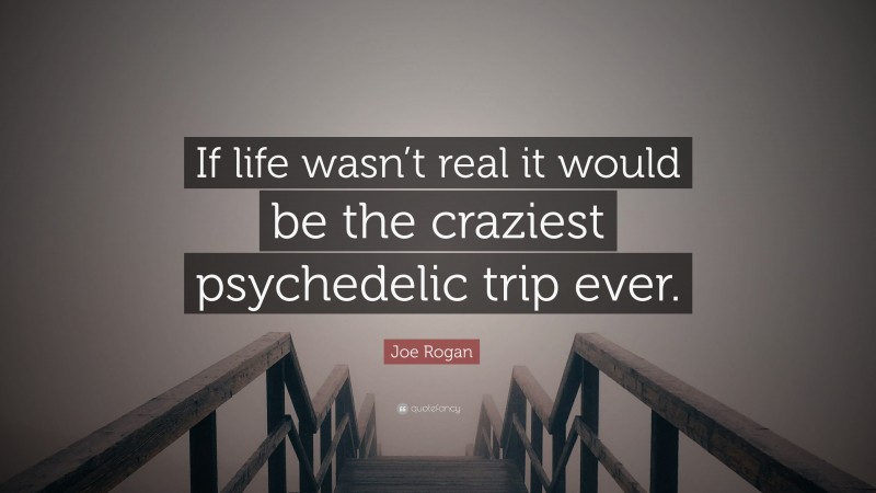 Joe Rogan Quote: “If life wasn’t real it would be the craziest psychedelic trip ever.”