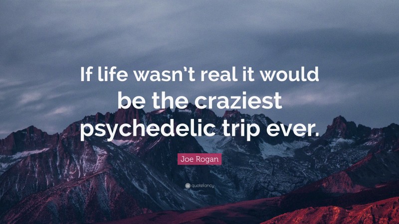 Joe Rogan Quote: “If life wasn’t real it would be the craziest psychedelic trip ever.”