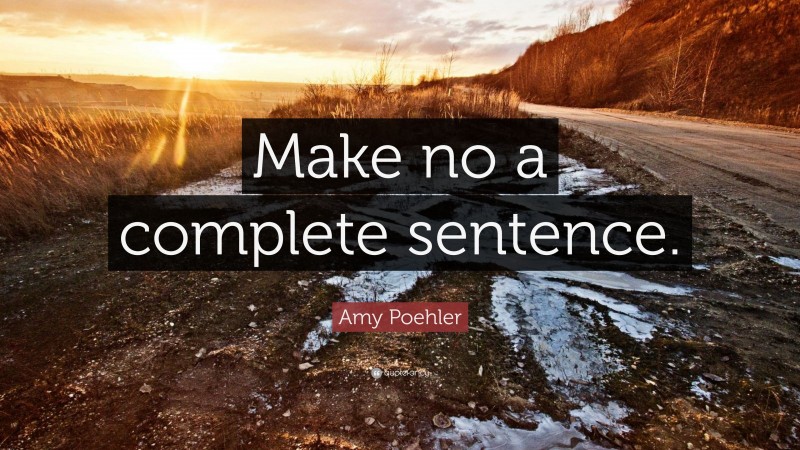 Amy Poehler Quote: “Make no a complete sentence.”