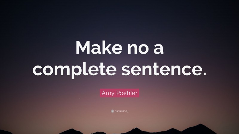 Amy Poehler Quote: “Make no a complete sentence.”