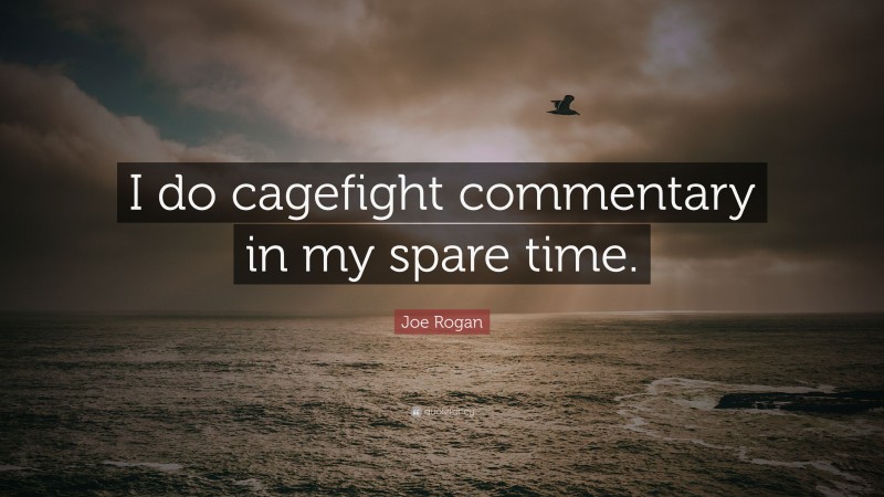 Joe Rogan Quote: “I do cagefight commentary in my spare time.”