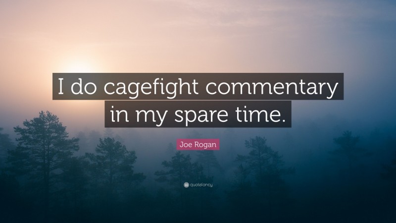 Joe Rogan Quote: “I do cagefight commentary in my spare time.”