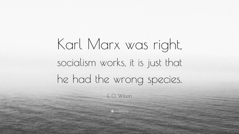 E. O. Wilson Quote: “Karl Marx was right, socialism works, it is just that he had the wrong species.”