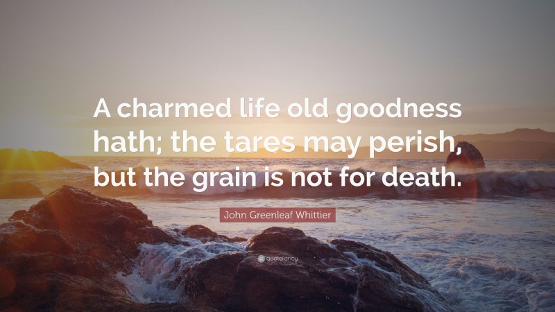John Greenleaf Whittier Quote: “A charmed life old goodness hath; the tares may perish, but the grain is not for death.”