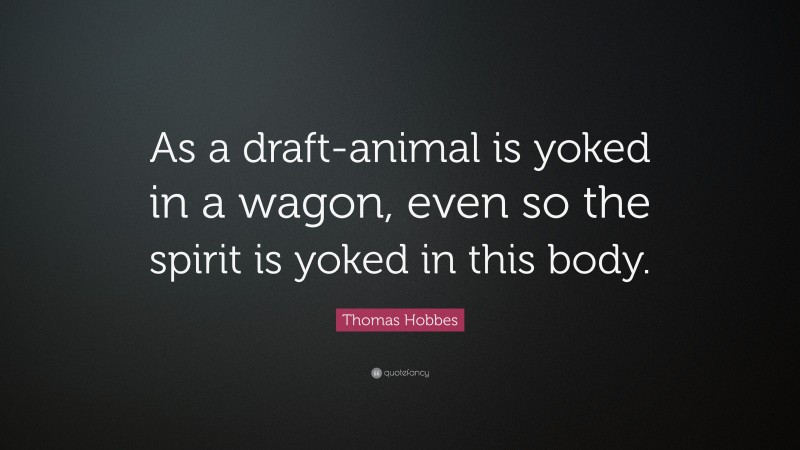 Thomas Hobbes Quote: “As a draft-animal is yoked in a wagon, even so the spirit is yoked in this body.”