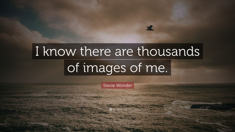 Stevie Wonder Quote: “I know there are thousands of images of me.”