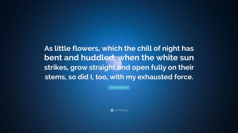 Dante Alighieri Quote: “As little flowers, which the chill of night has bent and huddled, when the white sun strikes, grow straight and open fully on their stems, so did I, too, with my exhausted force.”
