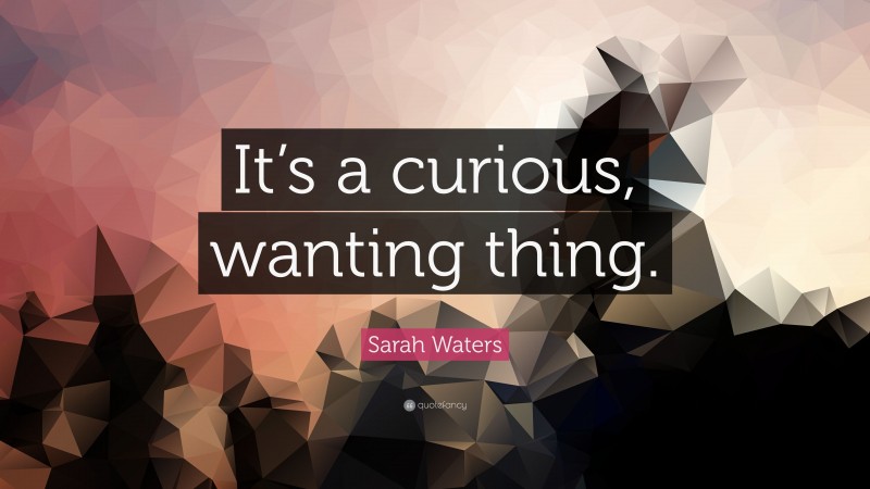 Sarah Waters Quote: “It’s a curious, wanting thing.”