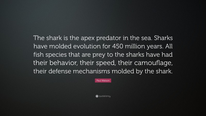 Paul Watson Quote: “The shark is the apex predator in the sea. Sharks have molded evolution for 450 million years. All fish species that are prey to the sharks have had their behavior, their speed, their camouflage, their defense mechanisms molded by the shark.”