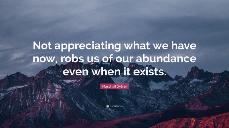 Marshall Sylver Quote: “Not appreciating what we have now, robs us of our abundance even when it exists.”