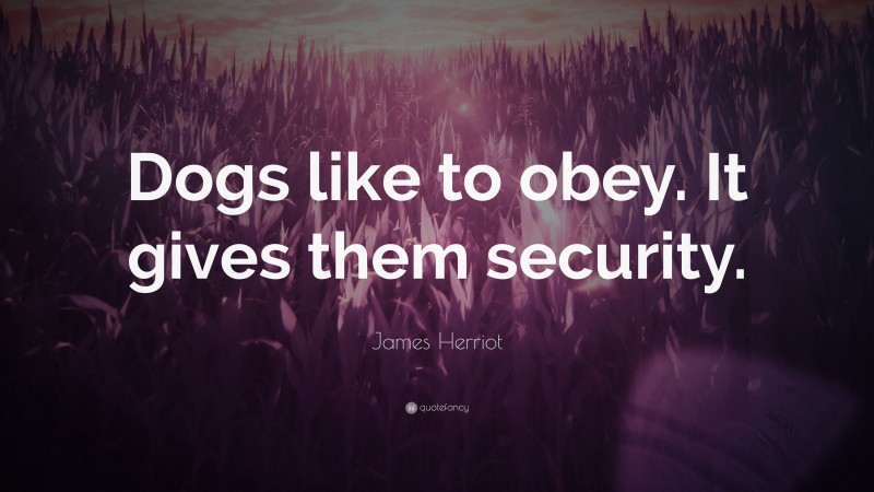 James Herriot Quote: “Dogs like to obey. It gives them security.”